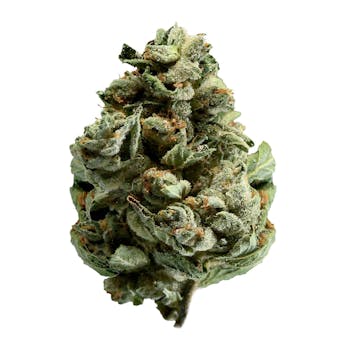 Canaca | Mango - Indica 3.5g